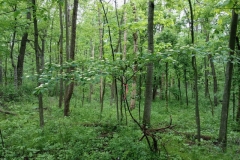 © 2021 Conservation Media, LLC