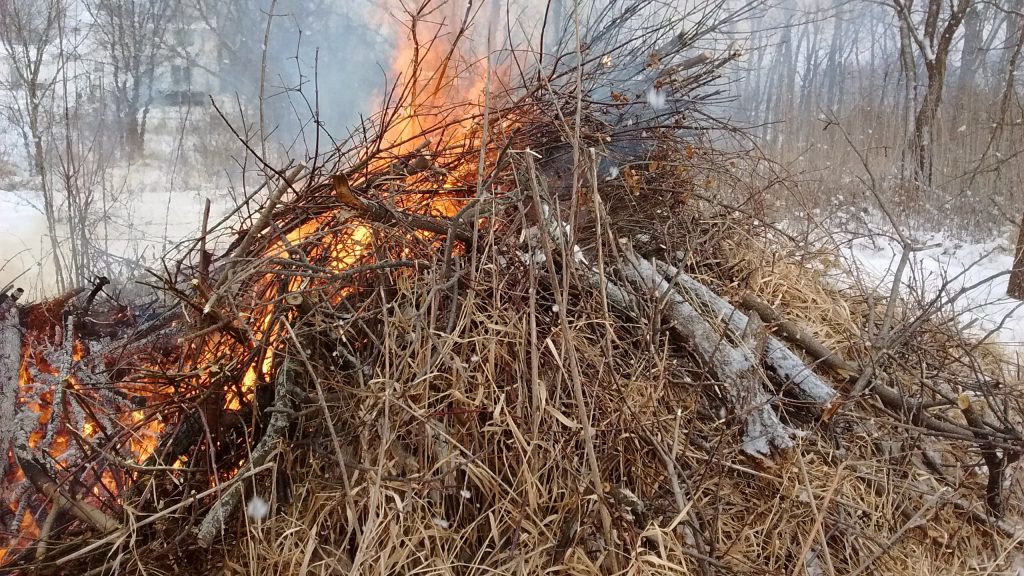 Great Brush Pile Burning Conservation Digest