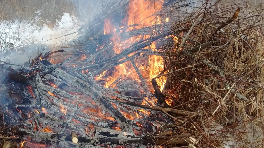 Great Brush Pile Burning Conservation Digest