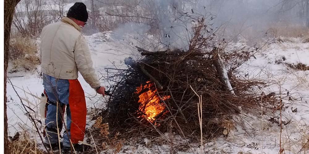 Great Brush Pile Burning Conservation Digest
