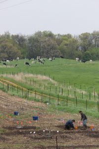 Pastures at the DFRC Prairie du Sac Farm.