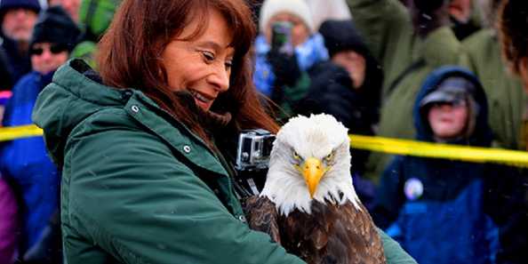 Best Eagle Watching Ever - Conservation Digest