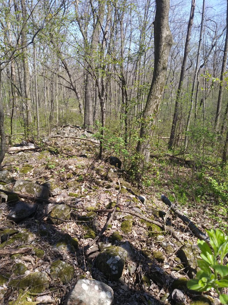 Image of rock wall viewed from atop the wall