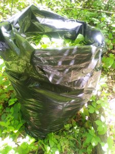 Image of large construction bag filled with garlic mustard.