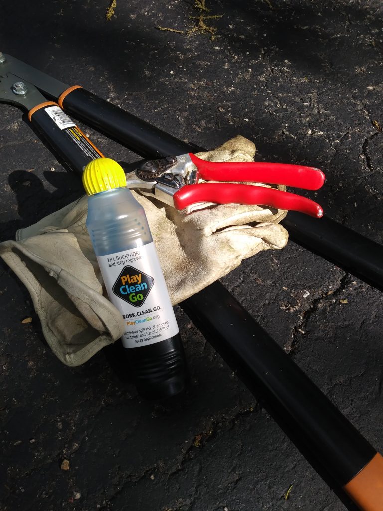 Image of Buckthorn Blaster with gloves, loppers and pruners