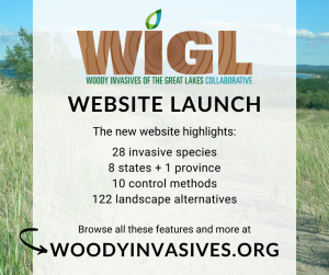 WIGL Launch Graphic to help tackle invasive woody species