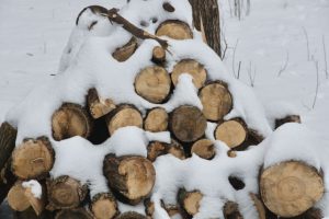 Image of wood pile half covered in snow.