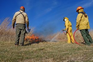 Image of prescribed paririe burn