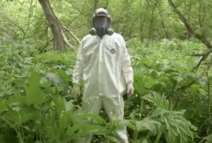 Image of forestry technician in full PPE standing woodland.