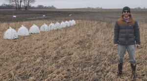 Image of test tents and researcher.