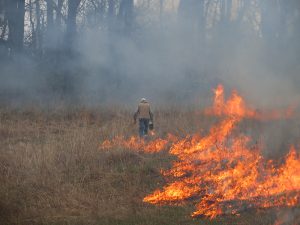 Image of prescribed prairie burn in late April.