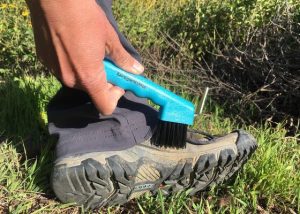 Image of hand with boot brush cleaning a boot.