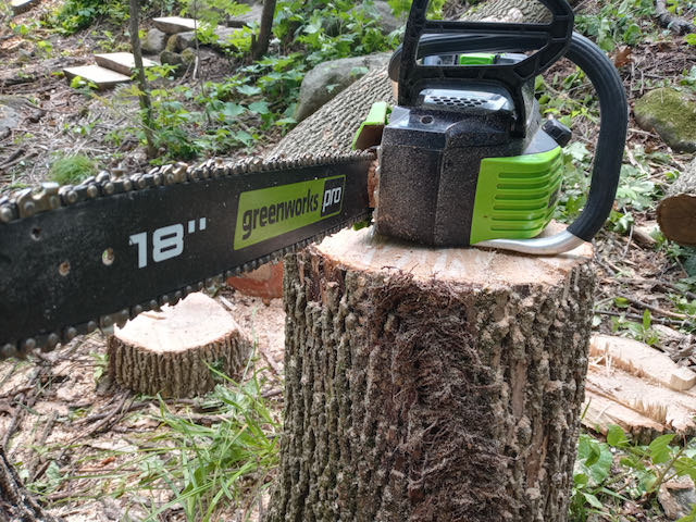 Image of greenworks chainsaw on stump