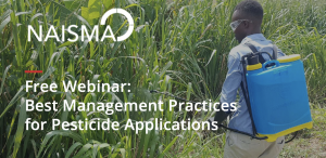 Image of somebody with a backpack sprayer approaching a stand of tall reed canary grass.