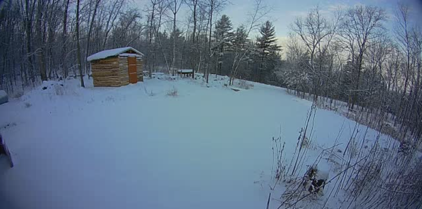 Image of the Squirrel Farm driveway in winter ready for the new year.