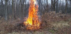 Image of burning brush pile.