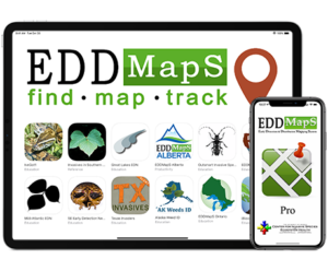 Image of EDDMapS features and smartphone display.