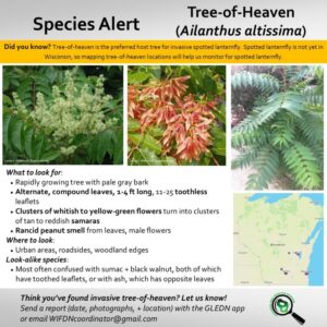 Image of sample WFDN Species Alert page.