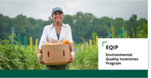 Image of truck farmer in field holding box of butternut squash.