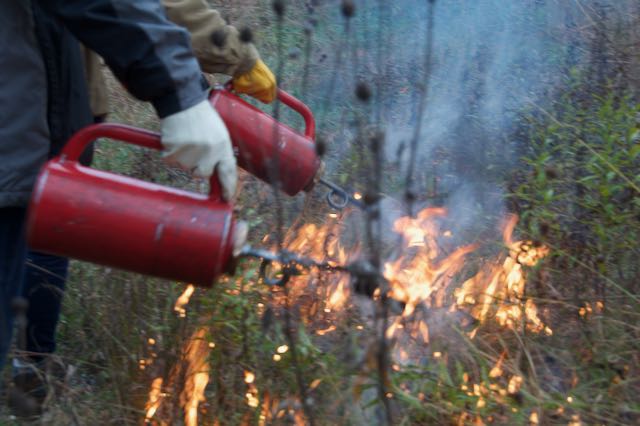 Image of two prescribed fire crew members, each with a drip torch.