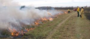 Image of prescribed fire line. Affordable liability insurance could make this sight much more common.