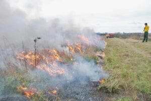 Image of burn crew member monitoring fire break on prescribed fire. Removing barriers like the lack of certified crews would bring more good fire back to Wisconsin.